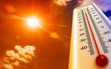 الطقس: أجواء شديدة الحرارة وارتفاع طفيف آخر على الحرارة