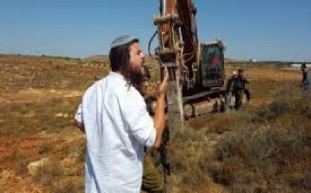 مستعمرون يجرفون أراضي في قرية أم صفا شمال غرب رام الله