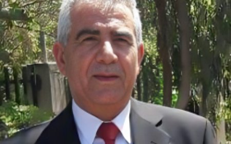 المساعدات في غزة.. صراع على لقمة العيش