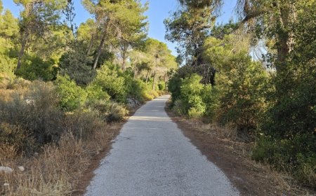 حالة الطقس: أجواء حارة ودرجات حرارة مرتفعة