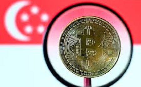 «بتكوين» تسجّل مستويات تاريخية جديدة متجاوزة 120 ألف دولار