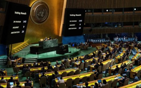 مؤتمر الأمم المتحدة حول حل الدولتين يعقد في 28 الجاري في نيويورك