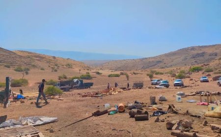 الأغوار: عائلتان ترحلان قسرا عن مساكنهما بسبب تصاعد وتيرة اعتداءات المستعمرين