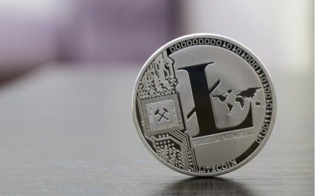 تراجعت عملة لايتكوين بنسبة 10% ضمن تداول هبوطي وسط عمليات بيع قوية