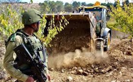 قوات الاحتلال تجرف أراضي المواطنين في بلدة إذنا