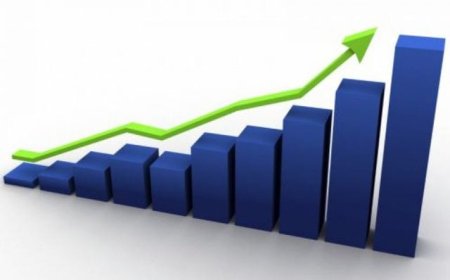 "الإحصاء": ارتفاع عجز الميزان التجاري للسلع المرصودة بنسبة 9% خلال شهر أيار