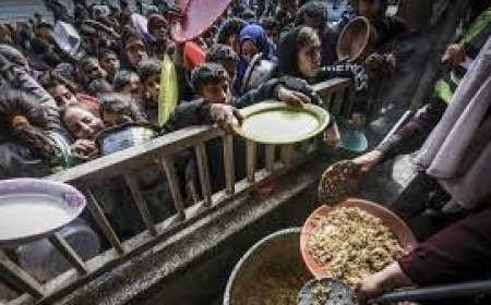 "العفو الدولية": قطاع غزة يواجه مجاعة جماعية ويجب تنفيذ وقف إطلاق نار دائم ودخول وتوزيع المساعدات