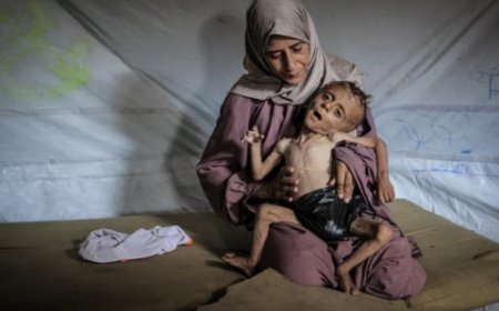 كاتبة إسرائيلية في صحيفة هآرتس تندد: نشاهد برامج الطهي بينما يتضور أطفال غزة جوعا