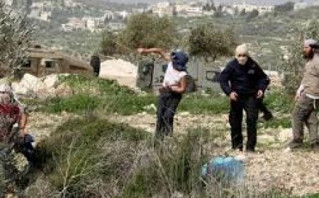 مستعمرون يعتدون على منشأة زراعية في السواحرة جنوب شرق القدس