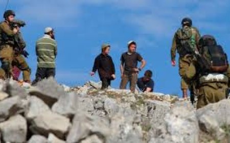 مستعمرون يدمرون 40 شجرة عنب بمسافر يطا وينكلون بمالكها