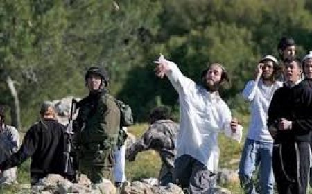 اصابة مسنة إثر اعتداء المستعمرين على مساكن المواطنين بمسافر يطا