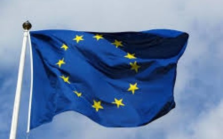 اتحاد الحقوقيين الفلسطينيين في أوروبا يدعو إلى تحقيق دولي في جريمة تجويع المواطنين في غزة