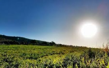 حالة الطقس: أجواء شديدة الحرارة اليوم وغدا