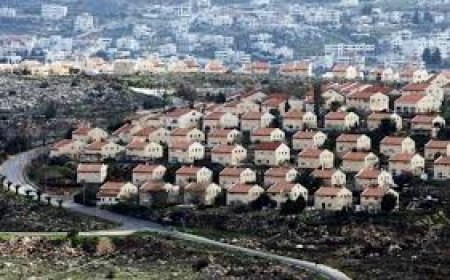 فتوح: مصادقة الاحتلال على 3 مخططات لتوسعة مستعمرة "معاليه أدوميم" تصعيد خطير