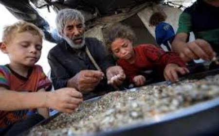 الأطفال يذوبون من الجوع- الأمم المتحدة: 1 من كل 3 أشخاص لم يأكل منذ أيام