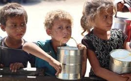 تقرير: كافة أهالي غزة يواجهون انعدام الأمن الغذائي الحاد