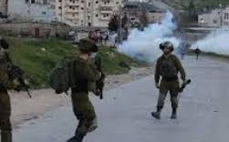 إصابة رضيعة بالاختناق واعتقال 8 مواطنين خلال اقتحام الاحتلال عدة مناطق في الخليل