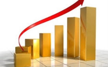 "الإحصاء": أسعار المنتج تسجل ارتفاعا في شهر حزيران