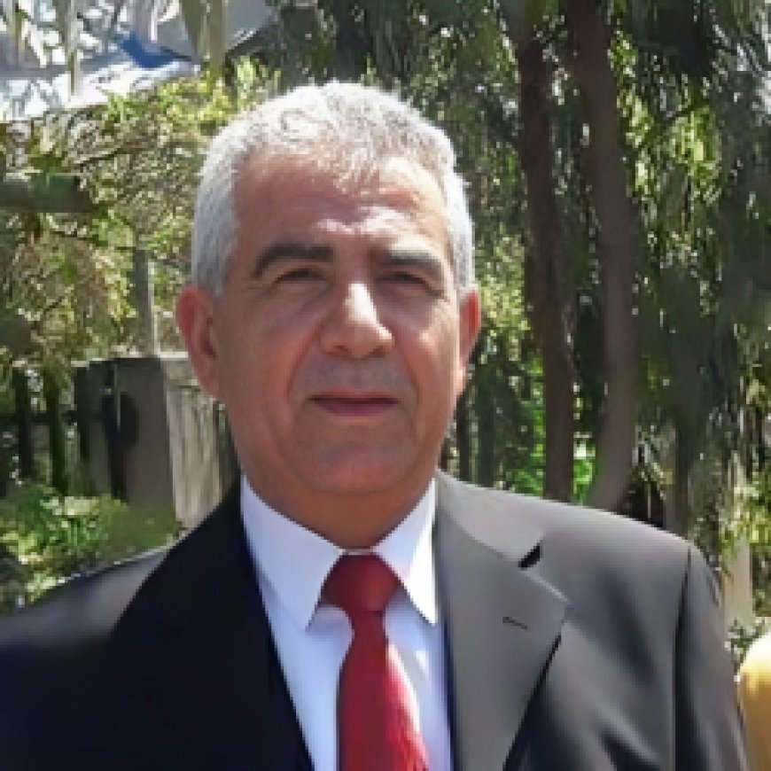 المساعدات في غزة.. صراع على لقمة العيش