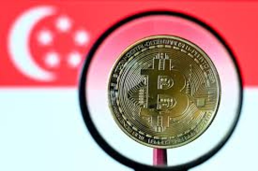 «بتكوين» تسجّل مستويات تاريخية جديدة متجاوزة 120 ألف دولار