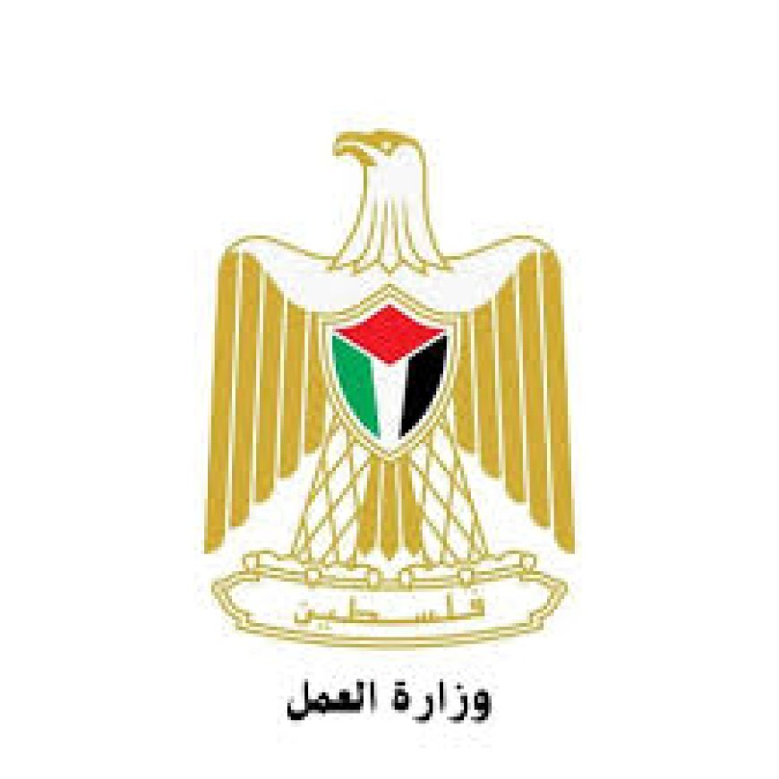 وزارة العمل تبحث مع "الفاو" و"اليونسكو" سبل التعاون المشترك