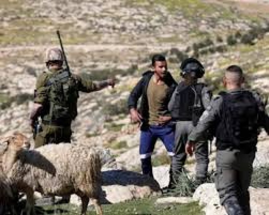 مستعمرون يطاردون رعاة الأغنام في مسافر يطا جنوب الخليل