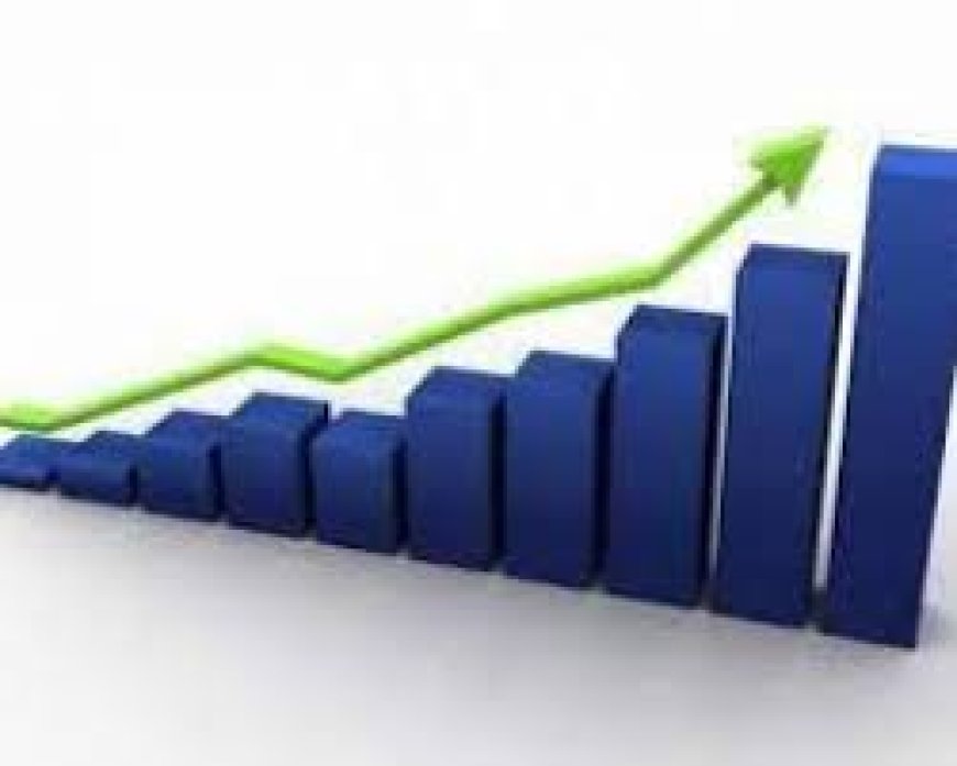 الإحصاء: ارتفاع مؤشر أسعار الجملة بنسبة 11.78% خلال الربع الثاني من العام الجاري