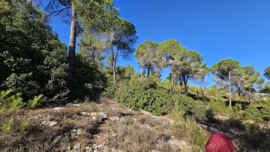 الطقس: أجواء حارة وجافة حتى الخميس