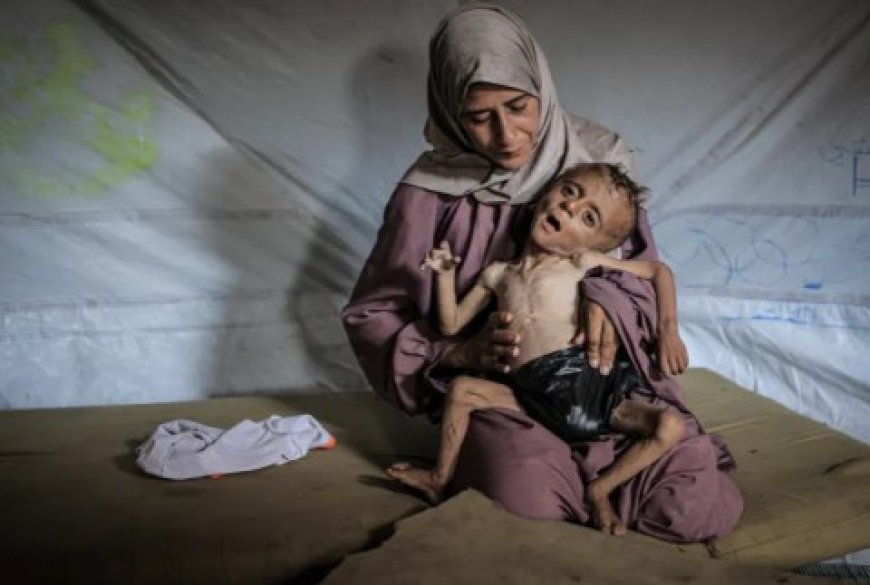 كاتبة إسرائيلية في صحيفة هآرتس تندد: نشاهد برامج الطهي بينما يتضور أطفال غزة جوعا