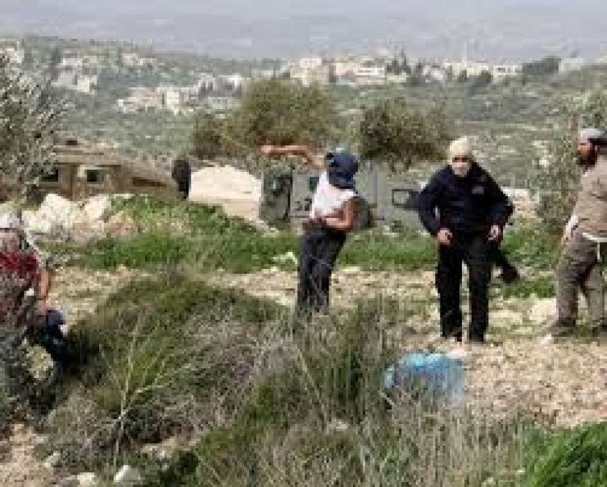 مستعمرون يعتدون على منشأة زراعية في السواحرة جنوب شرق القدس