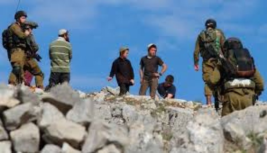 مستعمرون يدمرون 40 شجرة عنب بمسافر يطا وينكلون بمالكها