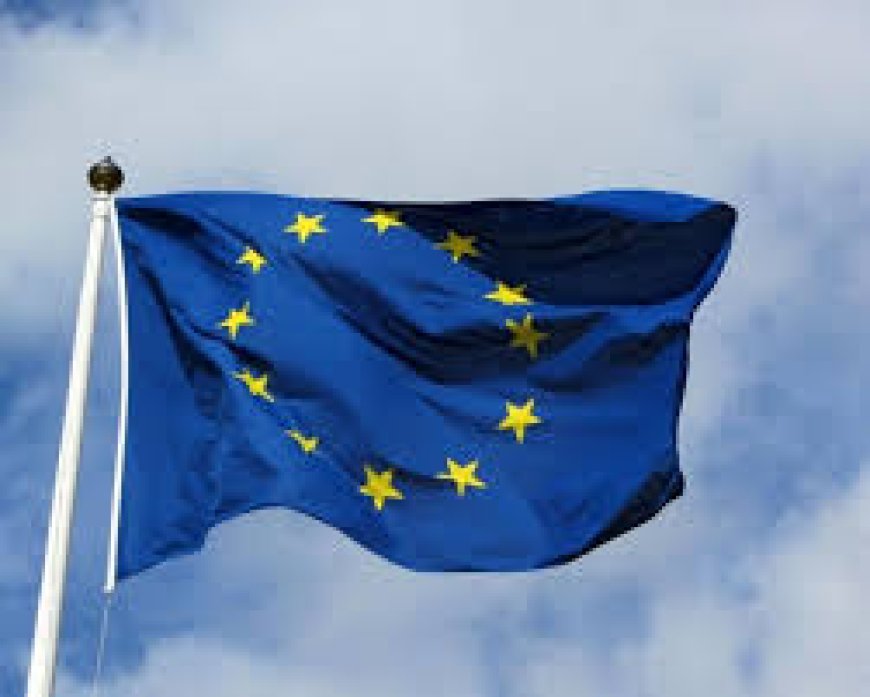 اتحاد الحقوقيين الفلسطينيين في أوروبا يدعو إلى تحقيق دولي في جريمة تجويع المواطنين في غزة