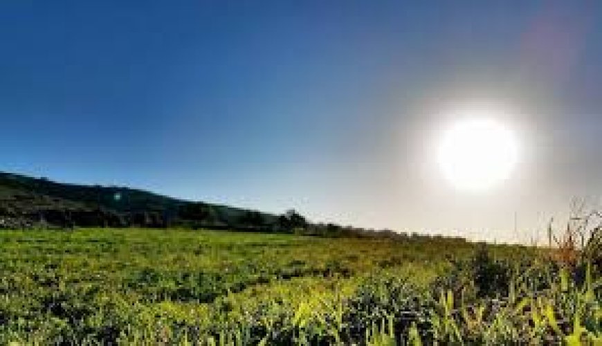 حالة الطقس: أجواء شديدة الحرارة اليوم وغدا