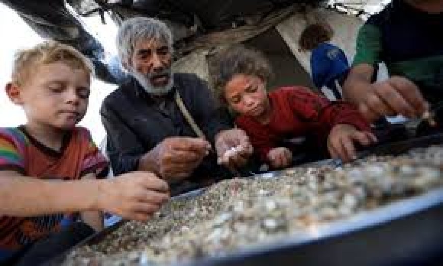 الأطفال يذوبون من الجوع- الأمم المتحدة: 1 من كل 3 أشخاص لم يأكل منذ أيام