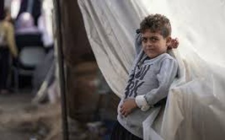 "اليونيسيف": أطفال غزة يموتون بمعدل غير مسبوق