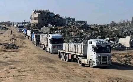 "الصحة العالمية": ادخال شاحنات أدوية ومستهلكات طبية الى مستشفيات قطاع غزة