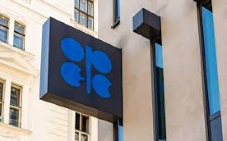 أوبك بلس تتجه لزيادة إنتاج النفط مجدداً لاستعادة الحصة السوقية