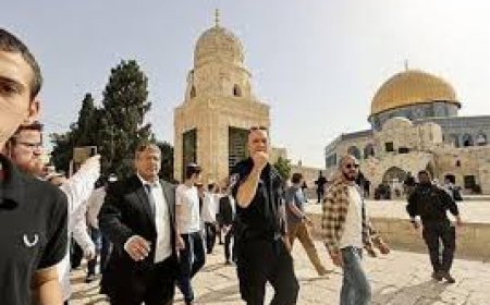 "الأوقاف" تستنكر اقتحام المتطرف بن غفير للمسجد الأقصى