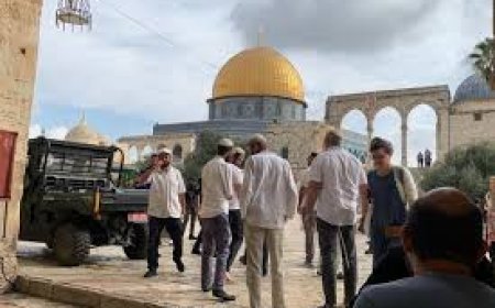 محافظة القدس تحذر : الاقتحامات الواسعة للمسجد الأقصى تشكل تحولا خطيرا في مسار عدوان الاحتلال المتواصل