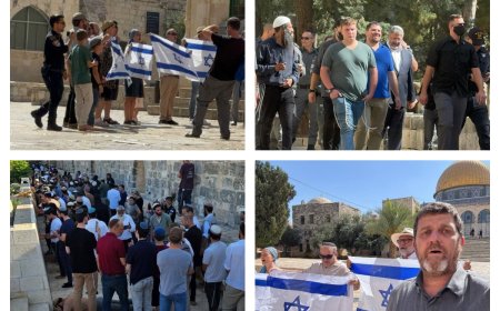 ارتفاع عدد المستعمرين المقتحمين للمسجد الأقصى إلى 3023 وتحذيرات واسعة من خطورة ما يجري