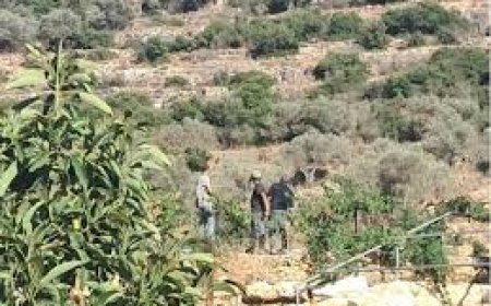 سلطة جودة البيئة تصدر تعليمات جديدة لحماية مناطق التنوع الحيوي في فلسطين