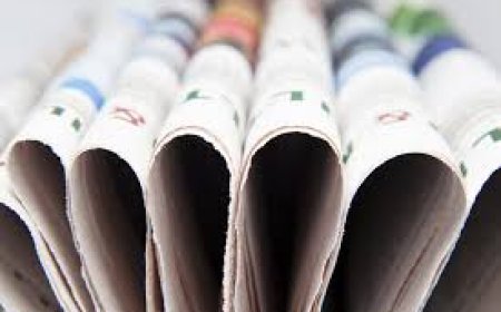 فريسنيلو تسجل أرباحاً قوية في النصف الأول وسط ارتفاع أسعار المعادن