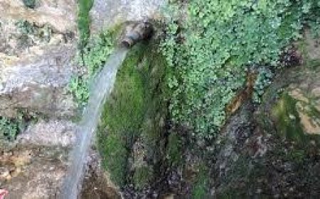 الاحتلال يردم 7 ينابيع مياه في بلدة الظاهرية