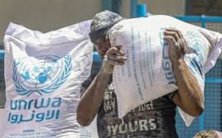 اليابان: "الأونروا" لها دور لا غنى عنه في دعم اللاجئين الفلسطينيين