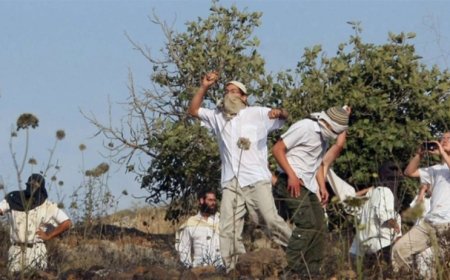 روسيا تحتج: المستوطنون هاجموا مركبة دبلوماسية والجيش الإسرائيلي لم يتدخل