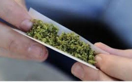 تقرير: ترامب يدرس إعادة تصنيف "الماريجوانا" كمخدر أقل خطورة