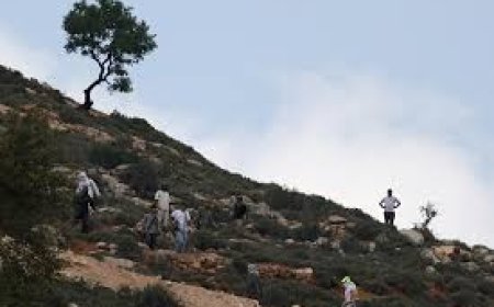 مستوطنون يقيمون بؤرة استيطانية جديدة شمال رام الله