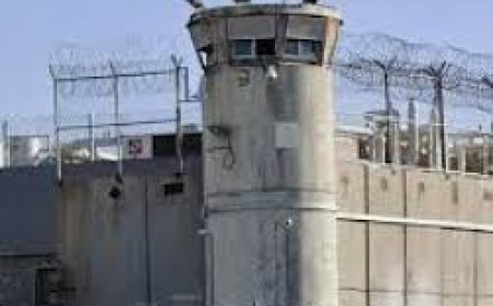 الاحتلال يفرض قيودا مضاعفة على الطواقم القانونية التي تتابع قضايا الأسرى