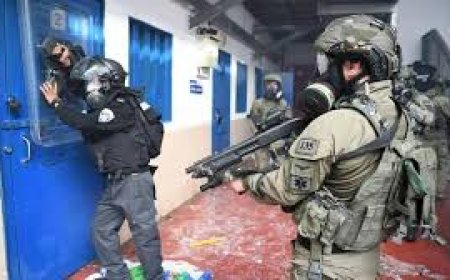 نادي الأسير: استمرار المنظومة الحقوقية الدولية بتوجيه تحذيرات إزاء جرائم الاحتلال لم يعد كافيا