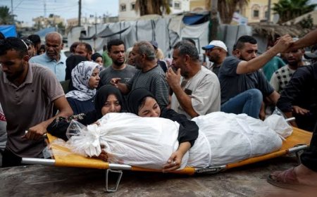 54 شهيدا و831 إصابة خلال يوم في قطاع غزة